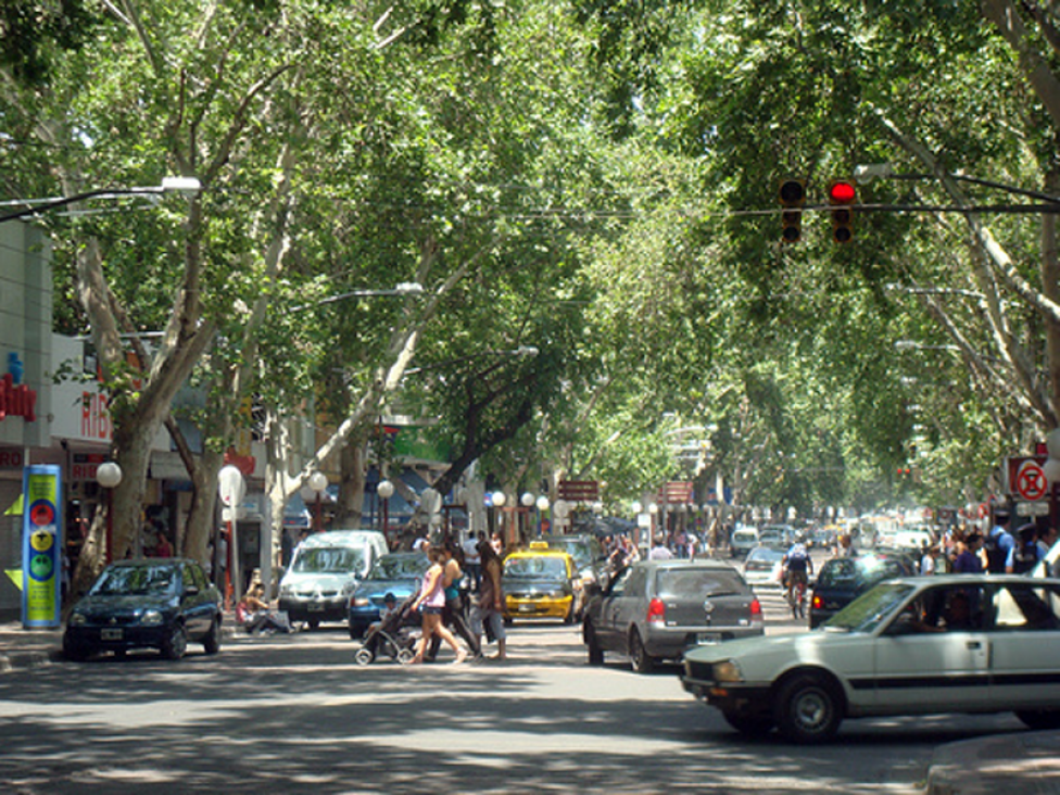 imagen 29 de agosto: Día Nacional del Árbol