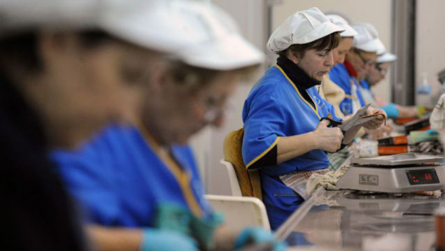 imagen Día de las Trabajadoras y los Trabajadores: Informes del ITP revelan la realidad del mundo del trabajo en Mendoza