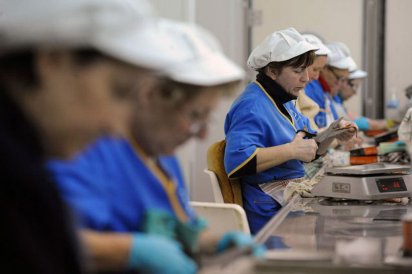imagen Día de las Trabajadoras y los Trabajadores: Informes del ITP revelan la realidad del mundo del trabajo en Mendoza