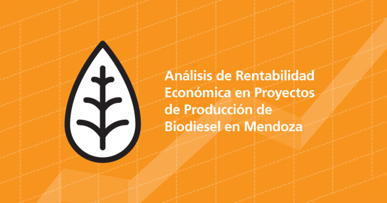 imagen El IDE finalizó el análisis económico de la producción de biodiesel 