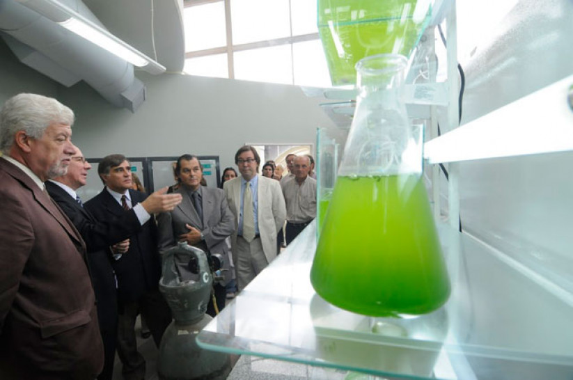 imagen Habilitaron laboratorio para producir biocombustibles a partir de algas