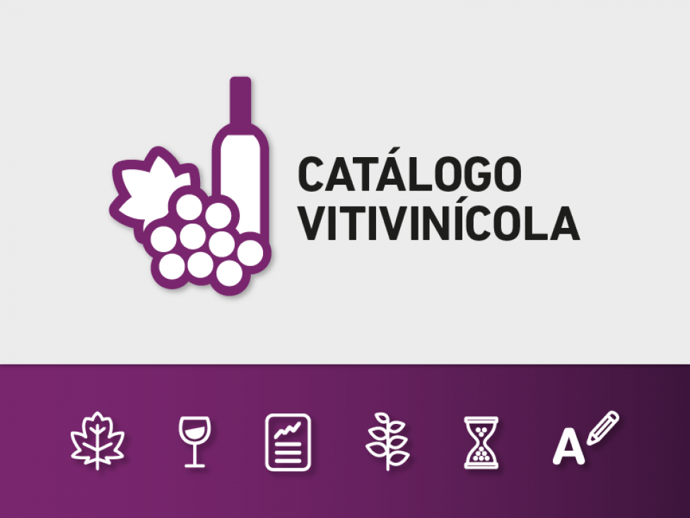 imagen Presentación de catálogo de investigaciones sobre vitivinicultura 