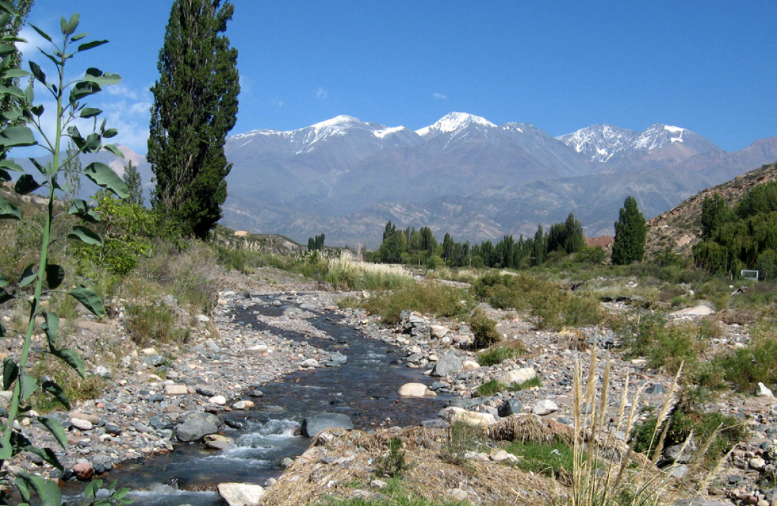 imagen El Instituto de Ciencias Ambientales invita a conmemorar el Día Mundial del Ambiente