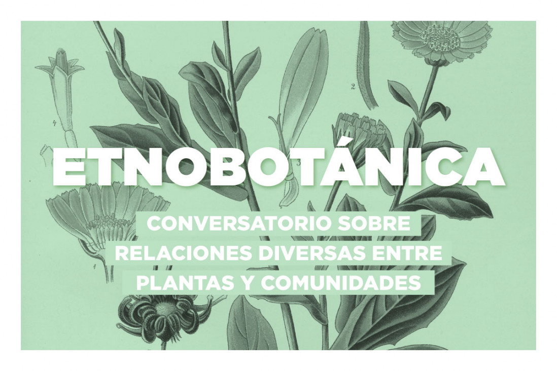 imagen Suspenden el conversatorio "Etnobotánica: Relaciones diversas entre plantas y comunidades"