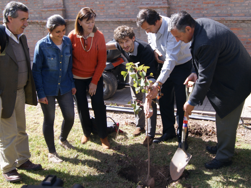 imagen Continúa la plantación de forestales en la UNCuyo