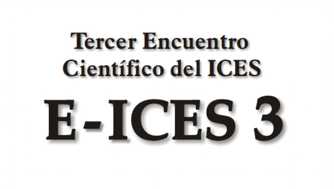 imagen E-ICES 3