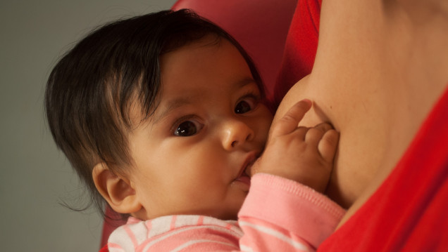 imagen Semana de la Lactancia Materna: Reflexiones en pos de un amamantamiento deseado
