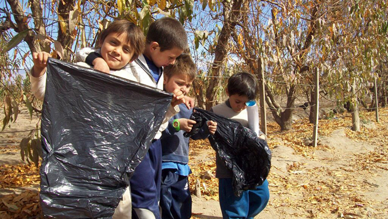 imagen Concursos para incentivar la conciencia ambiental en niños y jóvenes