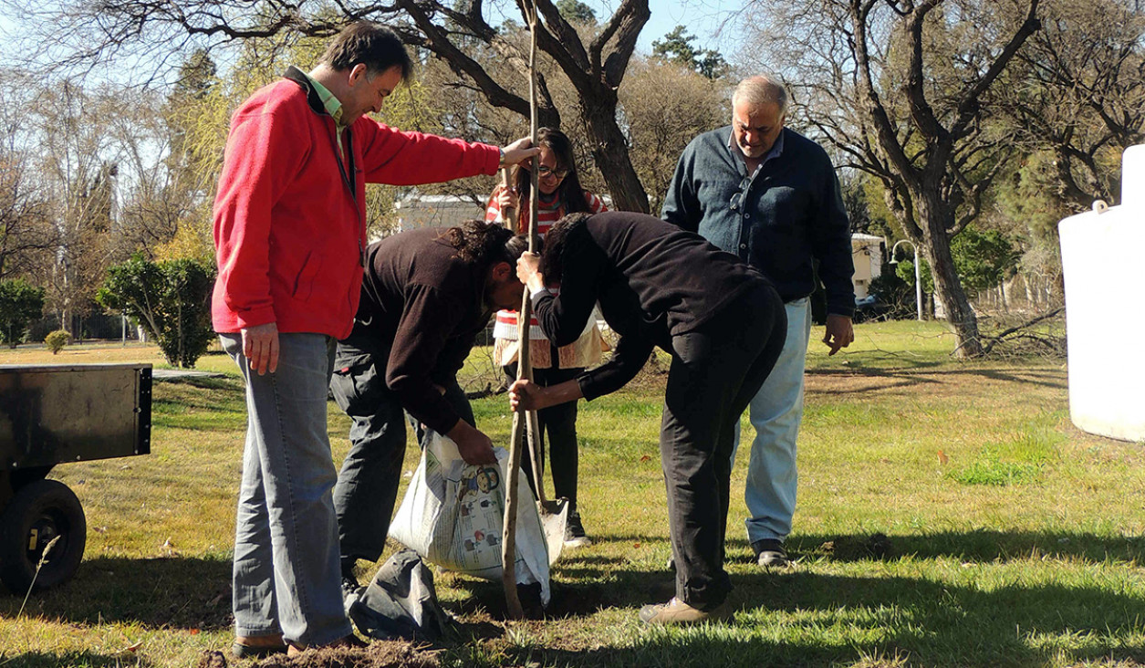 imagen Semana del Árbol en la UNCuyo: plantaron nuevos forestales