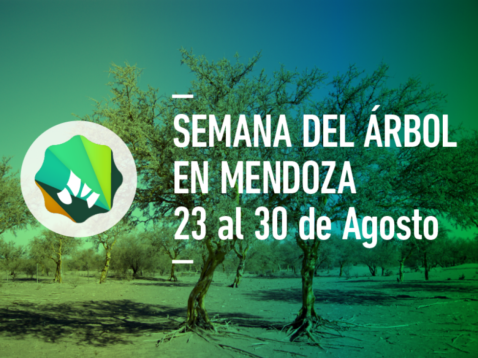 imagen Campaña del Árbol en Mendoza: plantá, doná o adoptá un árbol