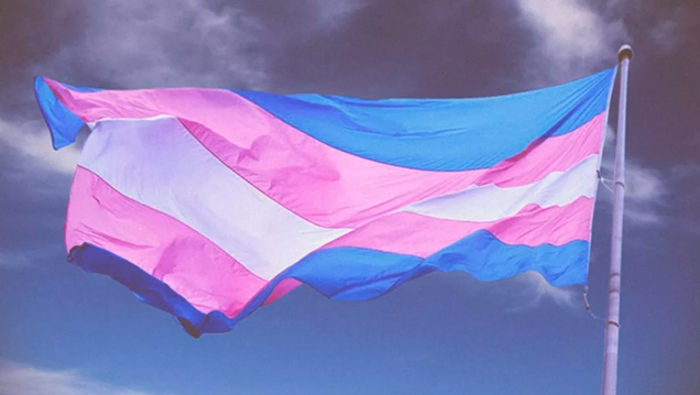 imagen 30 de marzo: Día Internacional de la Visibilidad Transgénero
